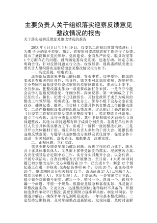 主要负责人关于组织落实巡察反馈意见整改情况的报告