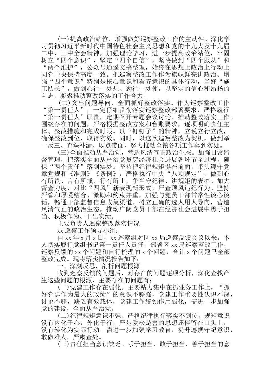 主要负责人巡察整改落实情况_第2页