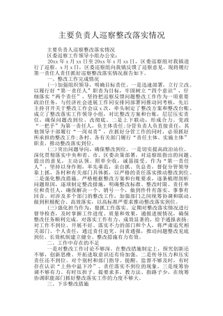 主要负责人巡察整改落实情况