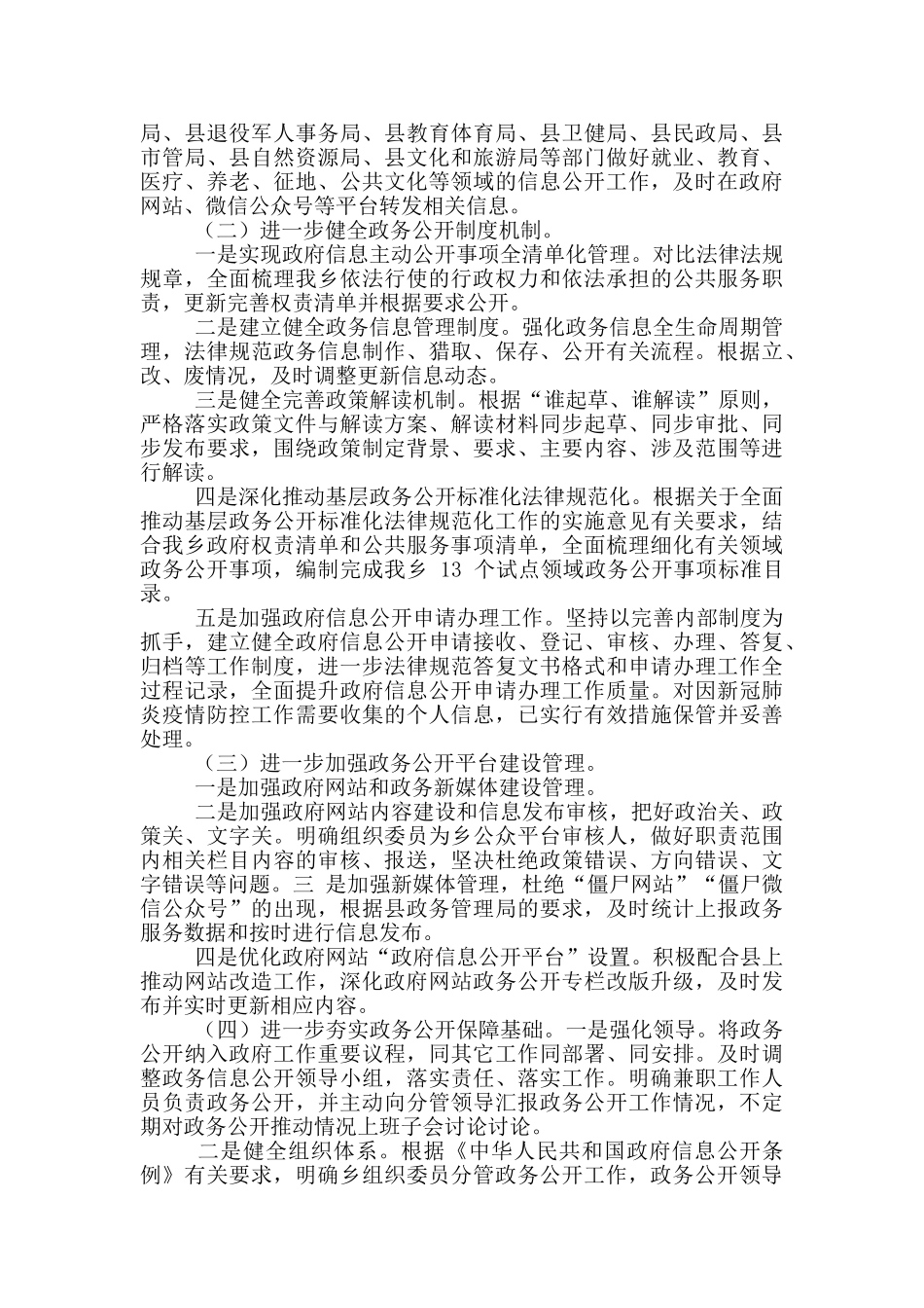 乡人民政府20年政务公开工作要点落实情况报告_第2页