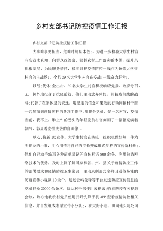 乡村支部书记防控疫情工作汇报