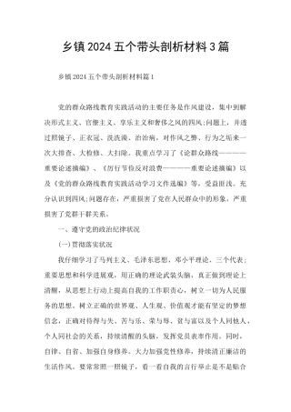 乡镇2024五个带头剖析材料3篇