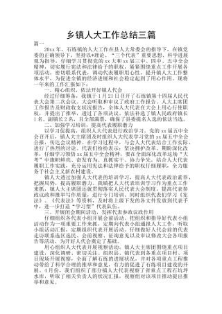 乡镇人大工作总结三篇