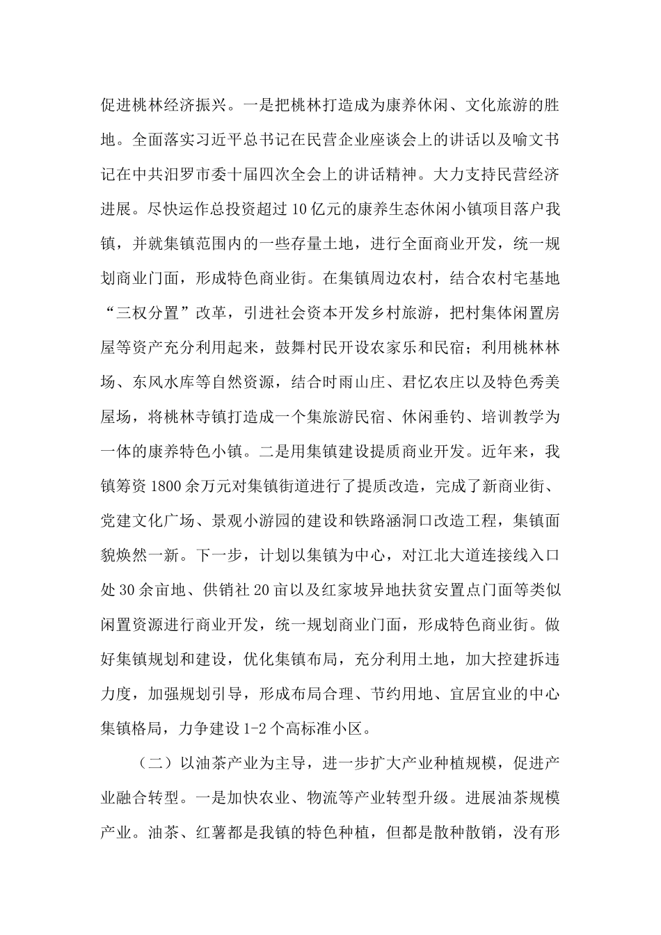 乡镇十四五规划思路_第2页