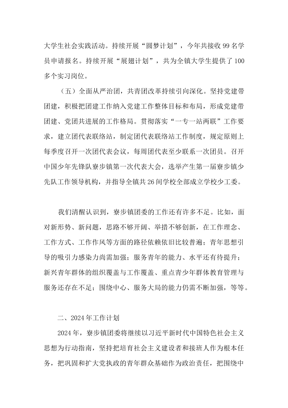 乡镇团委工作总结和2024年工作计划_第3页