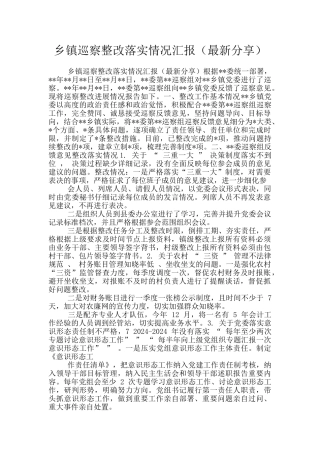 乡镇巡察整改落实情况汇报