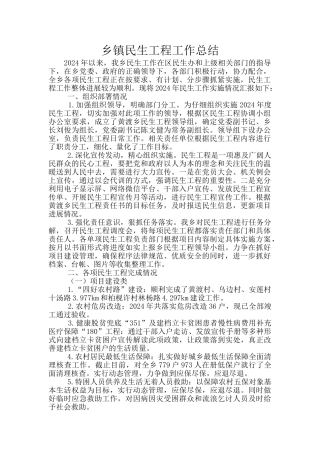 乡镇民生工程工作总结