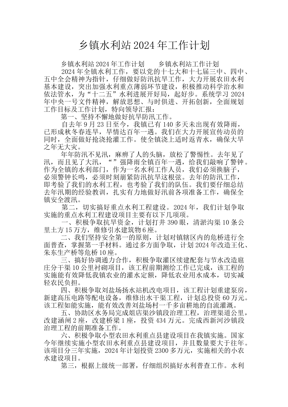 乡镇水利站2024年工作计划_第1页