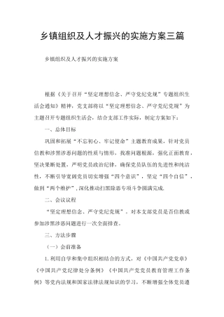 乡镇组织及人才振兴的实施方案三篇