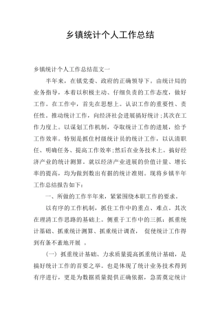 乡镇统计个人工作总结