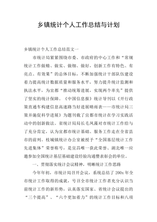 乡镇统计个人工作总结与计划