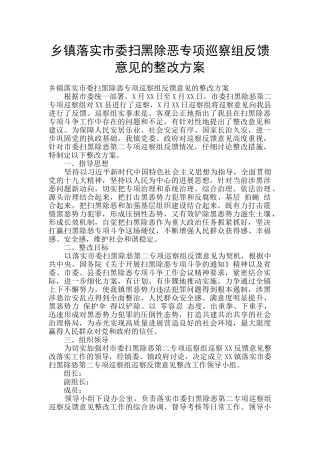 乡镇落实市委扫黑除恶专项巡察组反馈意见的整改方案
