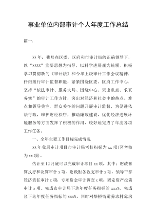 事业单位内部审计个人年度工作总结