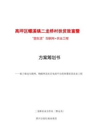二龙桥村扶贫项目方案书