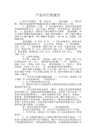 产品可行性报告
