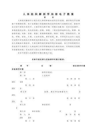 人体组织解剖学部分电子教案