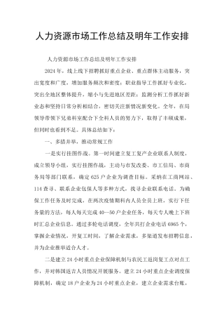 人力资源市场工作总结及明年工作安排