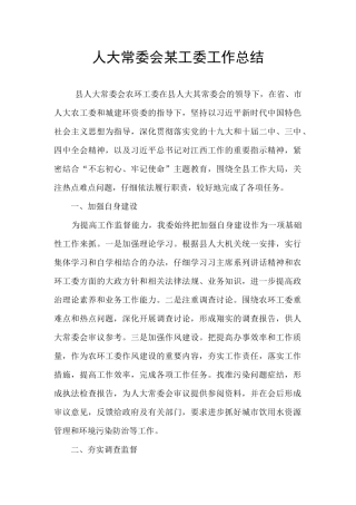 人大常委会某工委工作总结