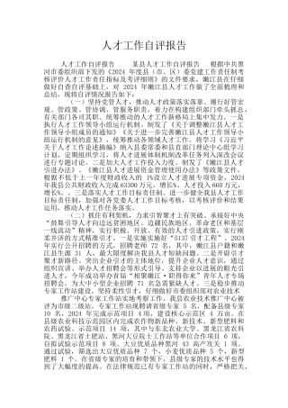 人才工作自评报告