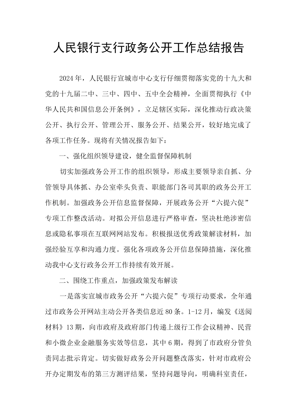 人民银行支行政务公开工作总结报告_第1页