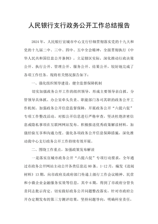 人民银行支行政务公开工作总结报告