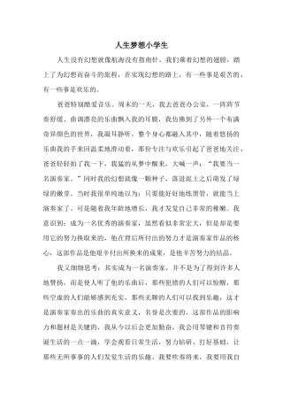 人生梦想小学生