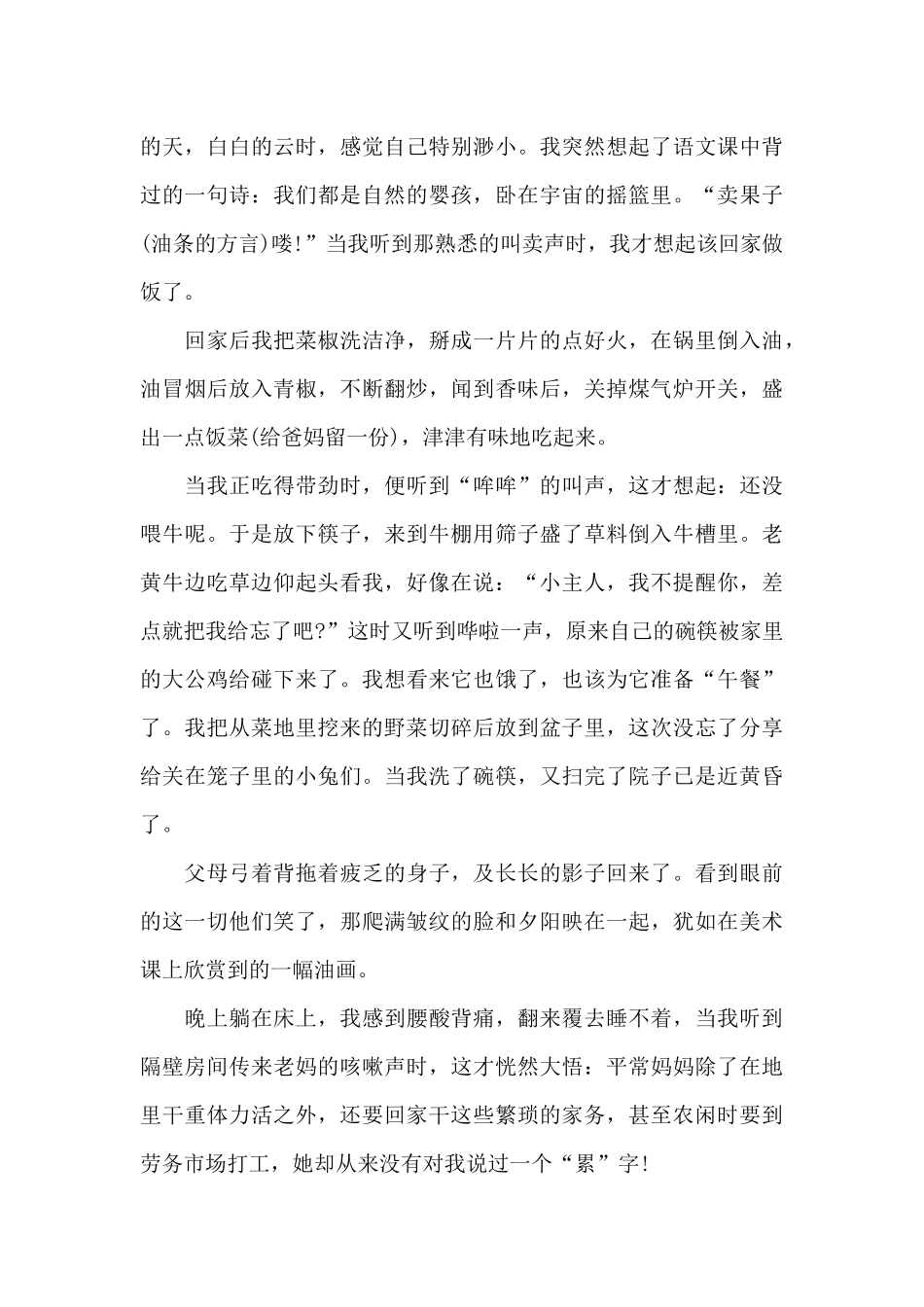 今天我当家-写事作文1000字_第2页