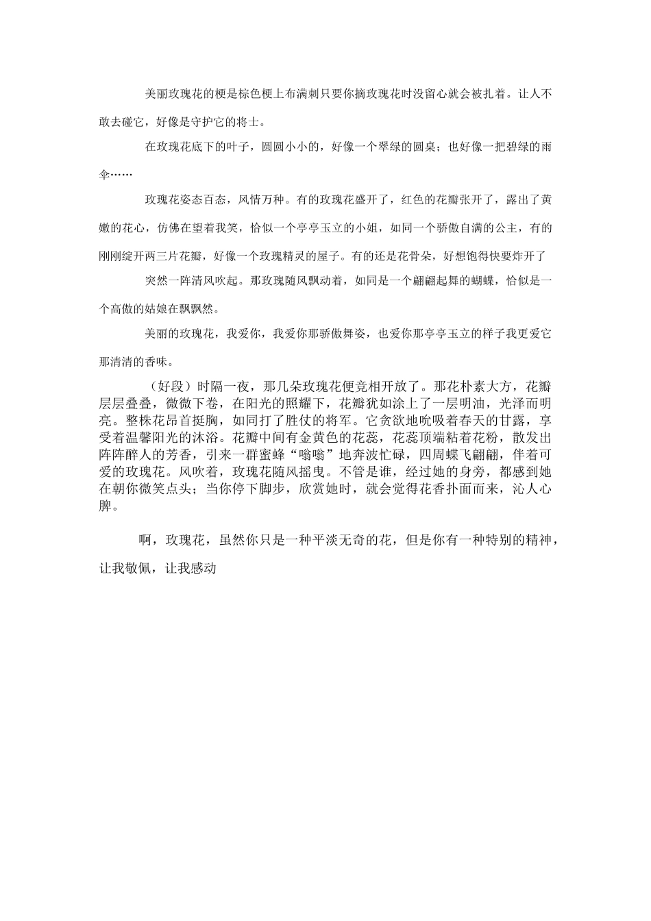 介绍自己喜欢的一种花_第3页