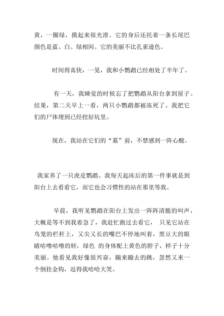 介绍虎皮鹦鹉作文_第2页