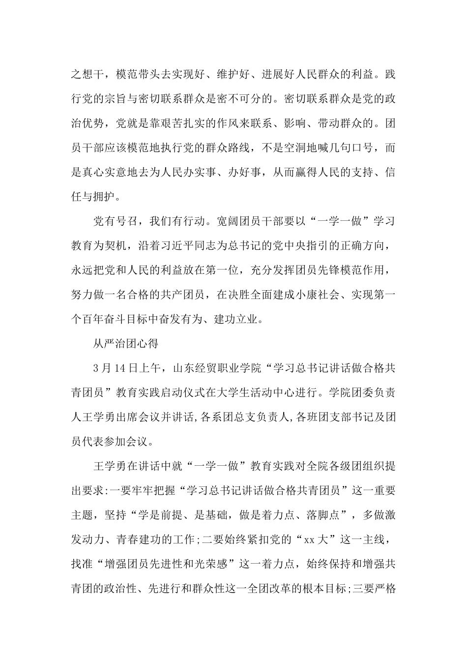 从严治团心得_第3页