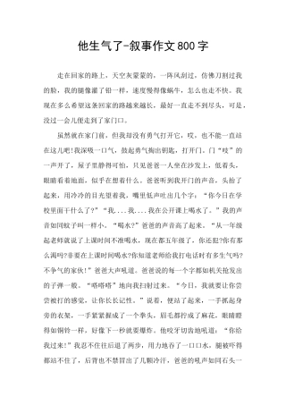 他生气了-叙事作文800字