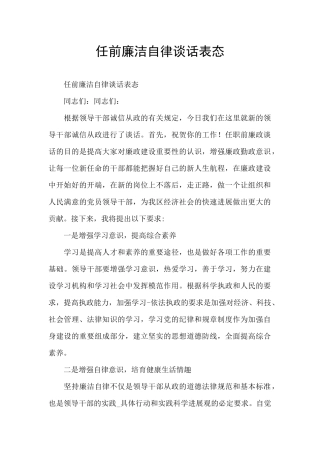 任前廉洁自律谈话表态