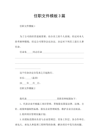 任职文件模板3篇
