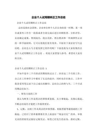 企业个人试用期转正工作总结