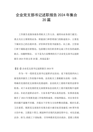 企业党支部书记述职报告2024年集合20篇