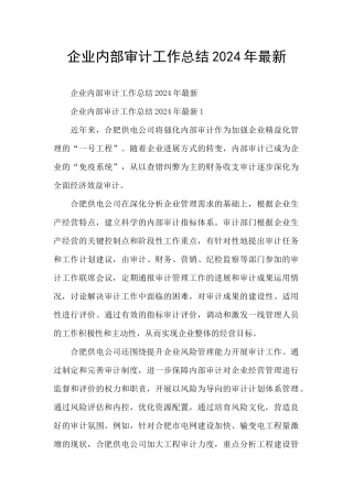 企业内部审计工作总结2024年最新