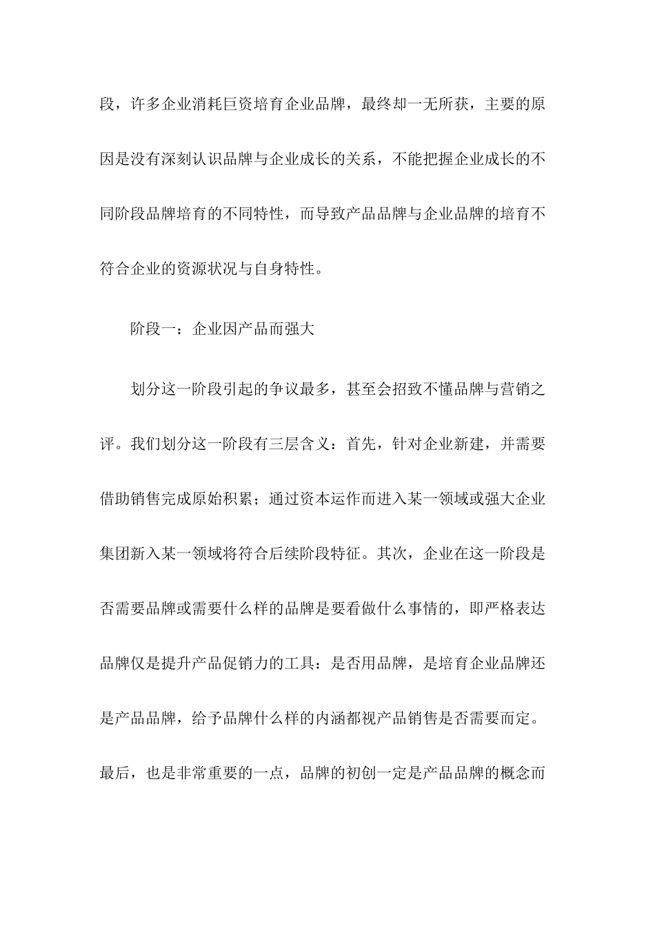 企业成长与品牌战略构建(1)_第2页