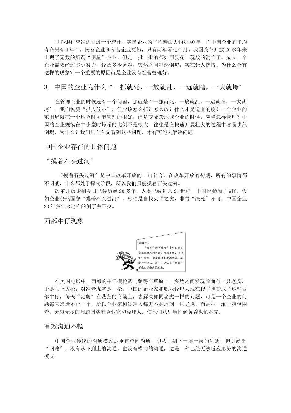 企业战略规划(DOC91页)_第2页