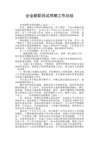 企业新职员试用期工作总结