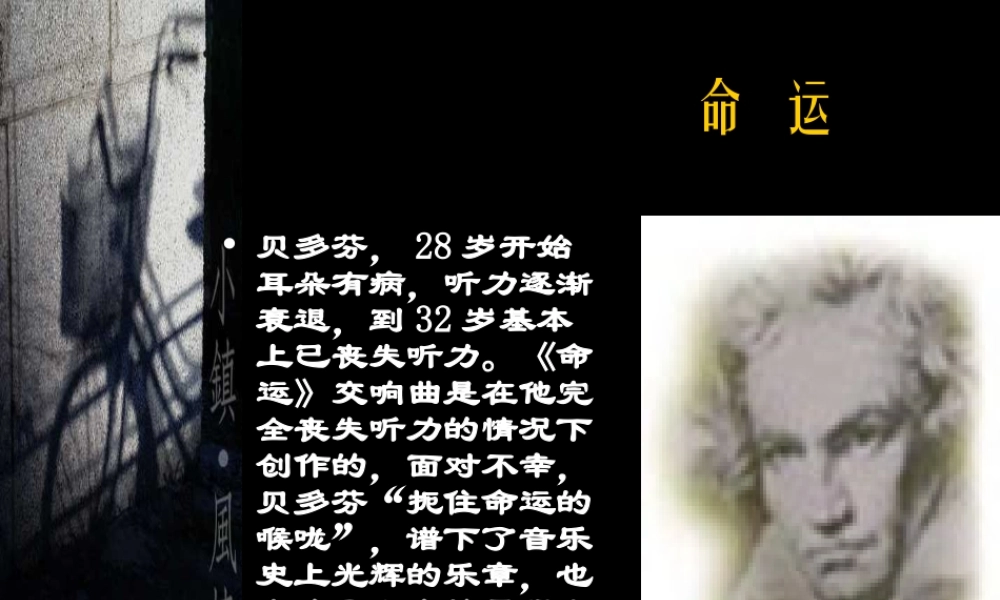 我与地坛精品课件