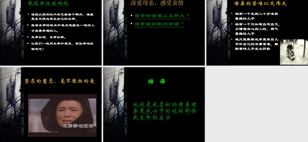 我与地坛精品课件