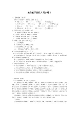 新人教版高中语文必修5装在套子里的人 同步练习基础检测