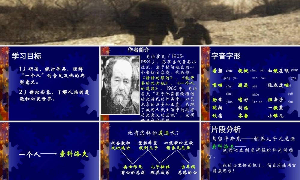 一个人的遭遇教学课件