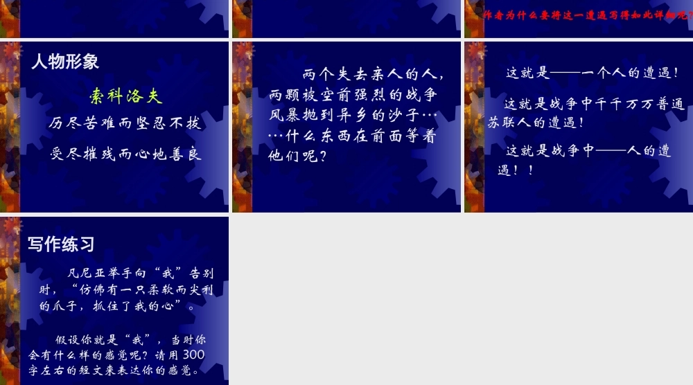 一个人的遭遇教学课件