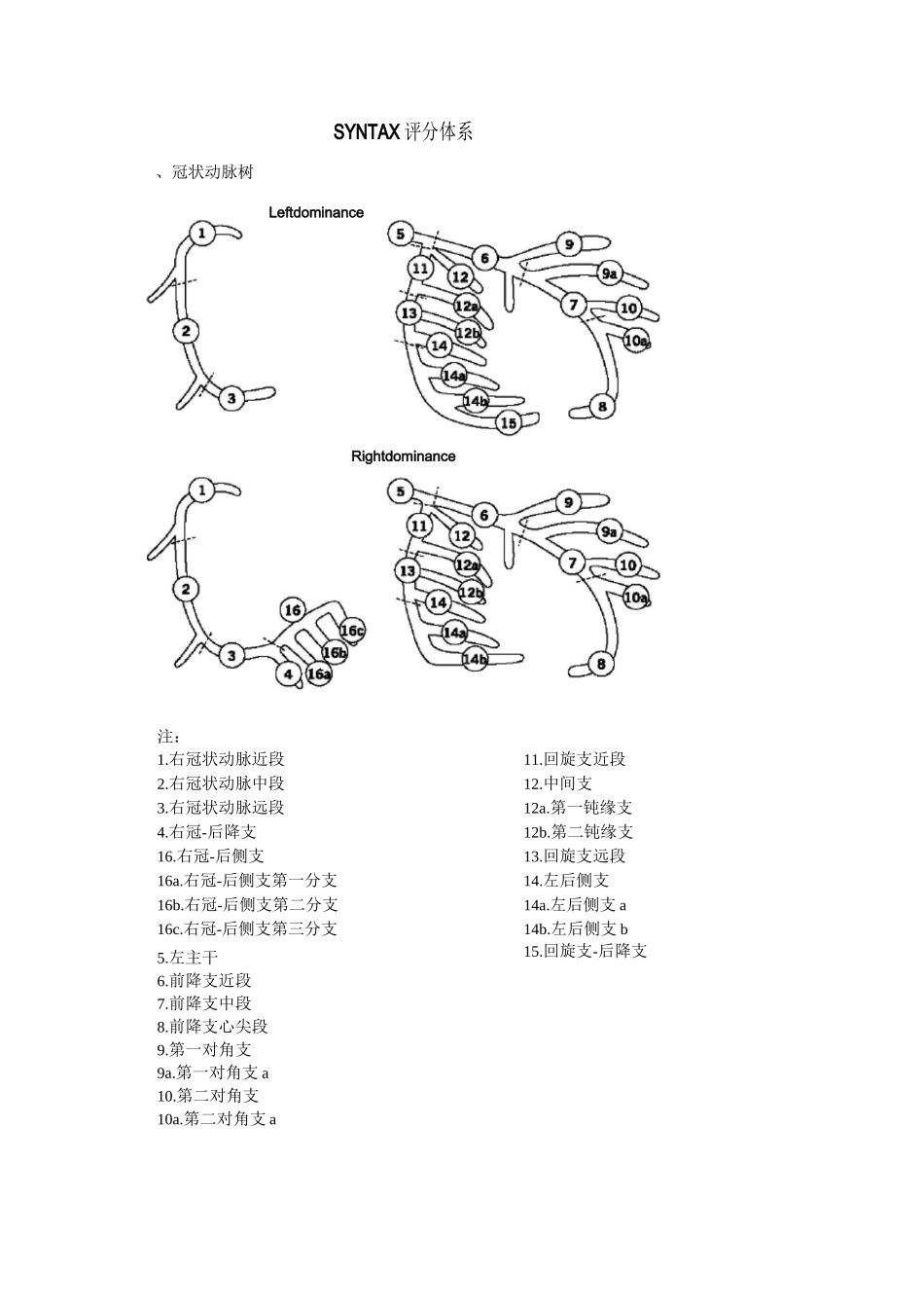 SYNTAX冠状动脉评分方法_第1页