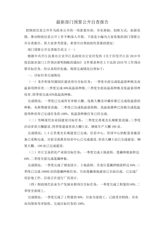 最新部门预算公开自查报告