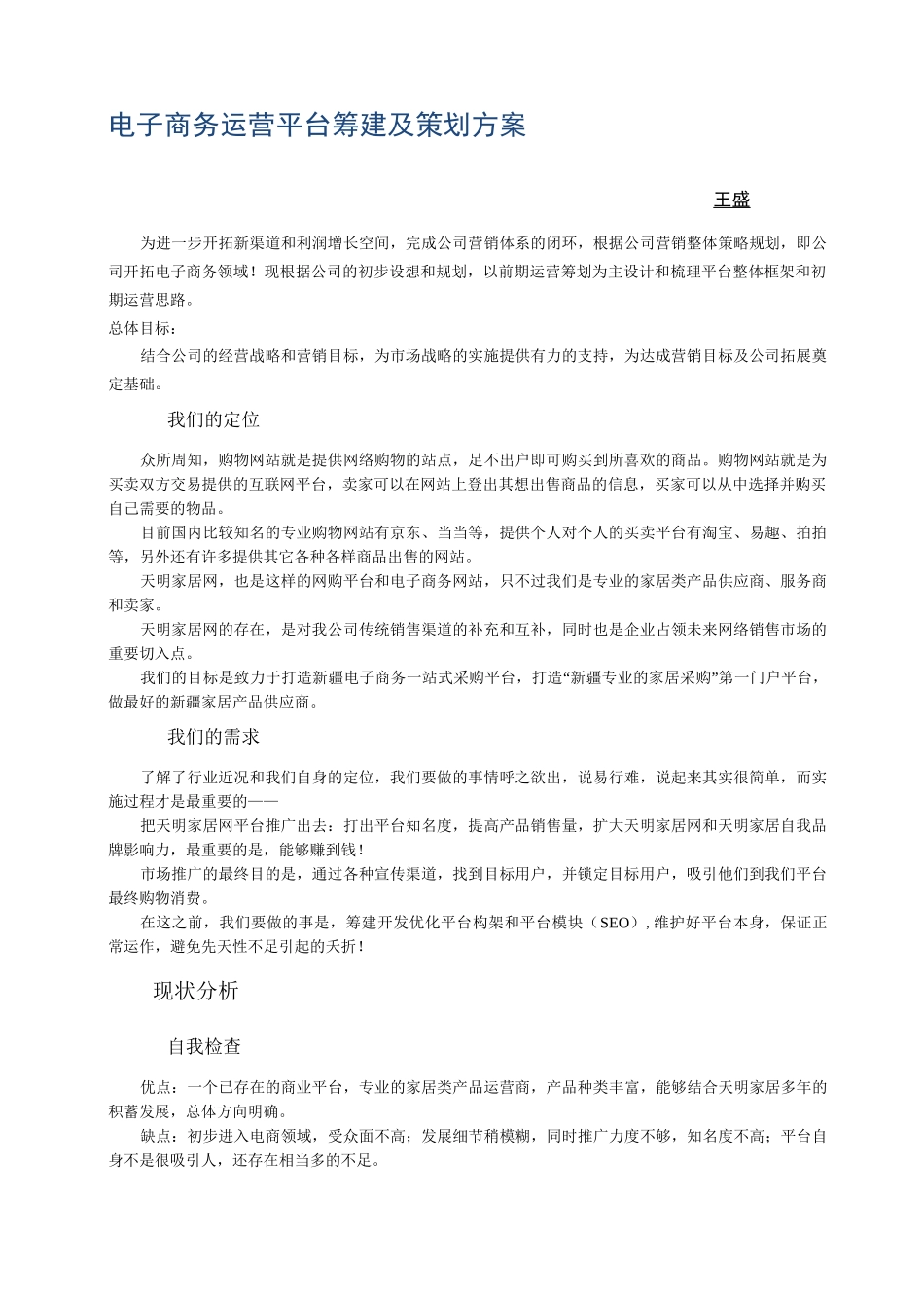 电子商务运营平台筹建及策划方案资料_第1页