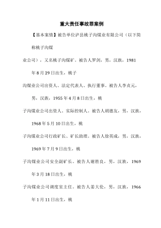 重大责任事故罪案例