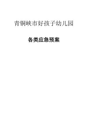 幼儿园各类应急预案大全