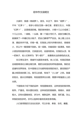 初中作文说明文共五篇